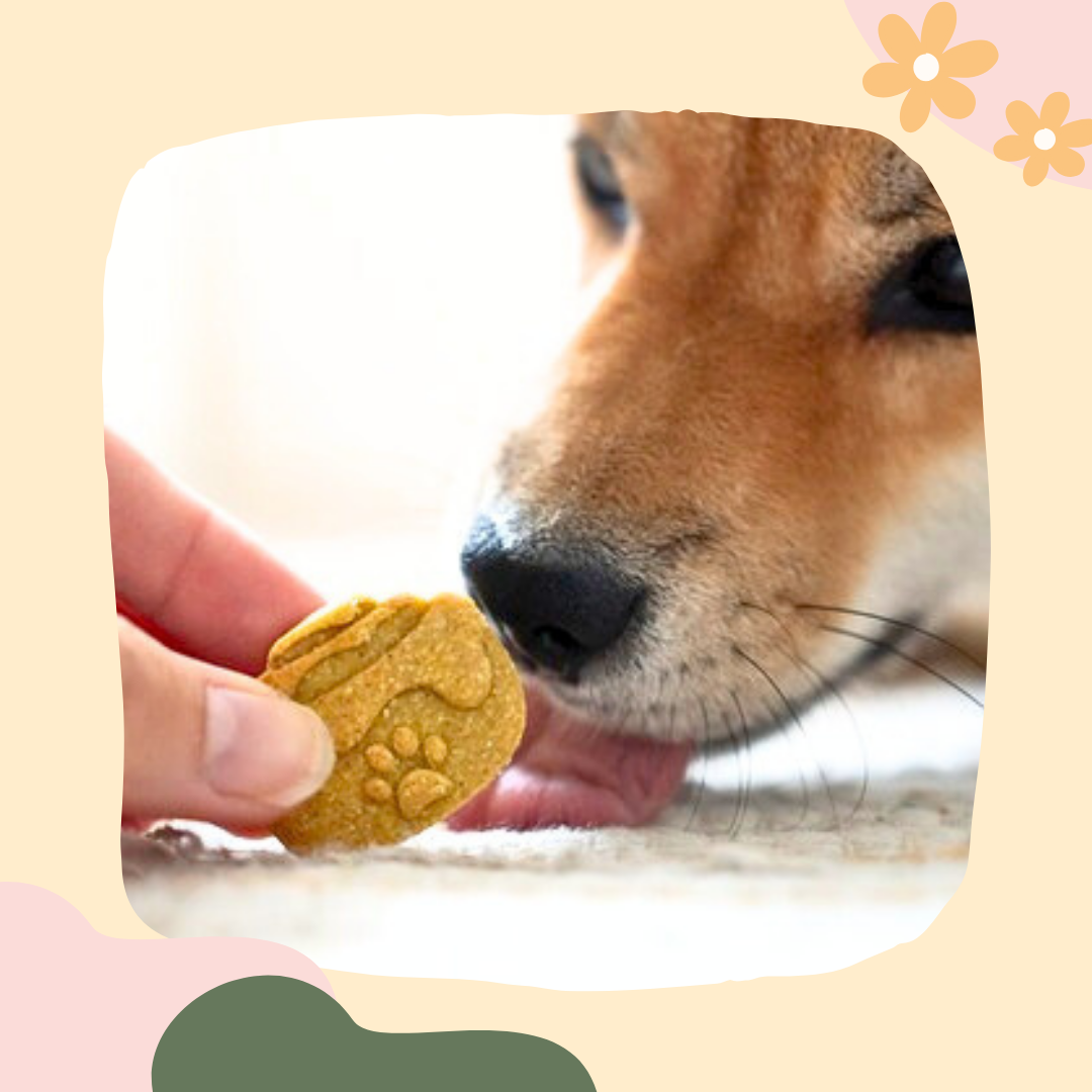 Golden Paws
