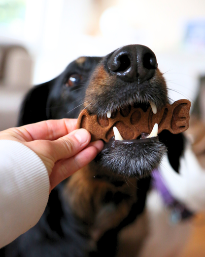 Best Dog